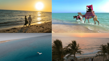 يوم كامل في أبحر وجولة على الشاطئ